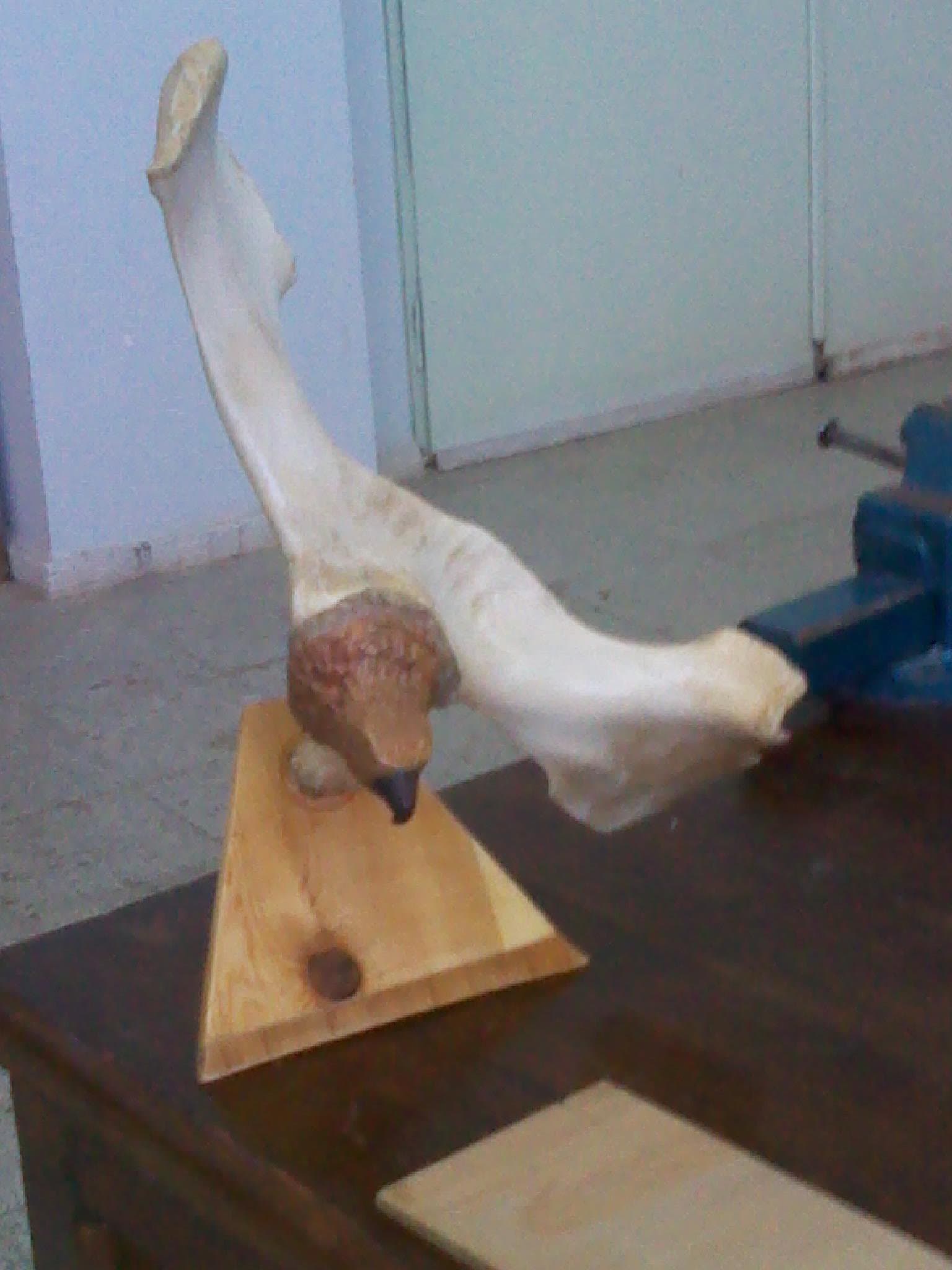 Muhammed Akbar Kutlu — eser 8